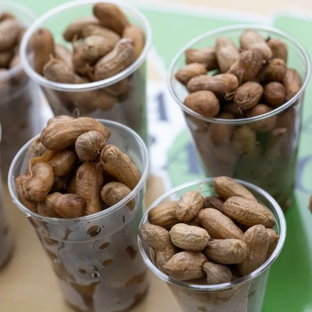 thumbnail for publication: Peanut Production Guide: Management and Cultural Practices for Peanuts